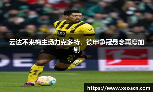 KY开元官方网站